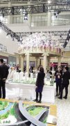 天津2016春季房交會(huì):寄予厚望現(xiàn)場精彩紛呈
